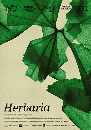 Afiche - Herbaria